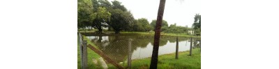 254. திருக்கள்ளில்